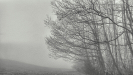  At the Edge